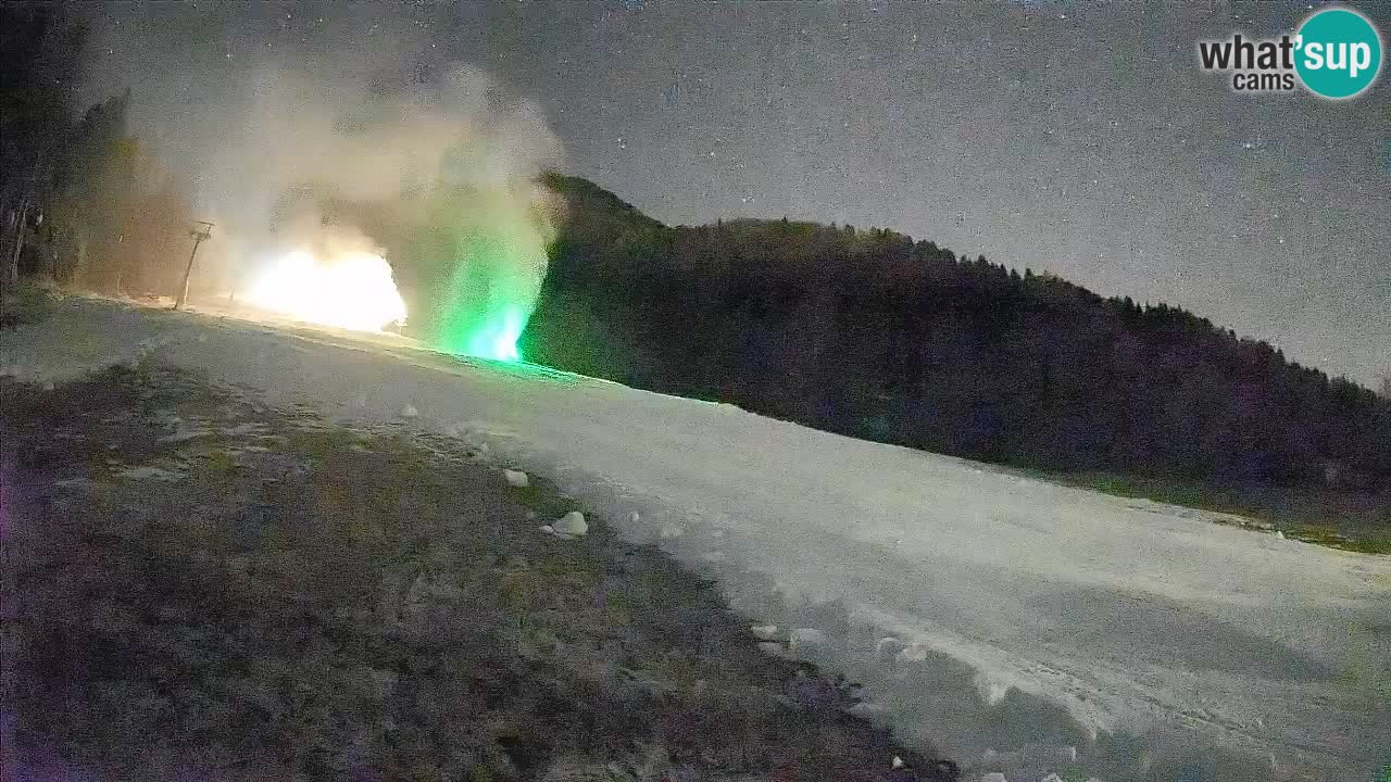 Ski Kranjska Gora | Brsnina