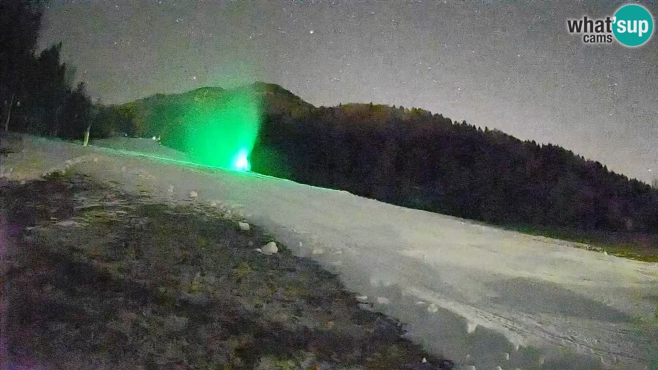 Ski Kranjska Gora | Brsnina