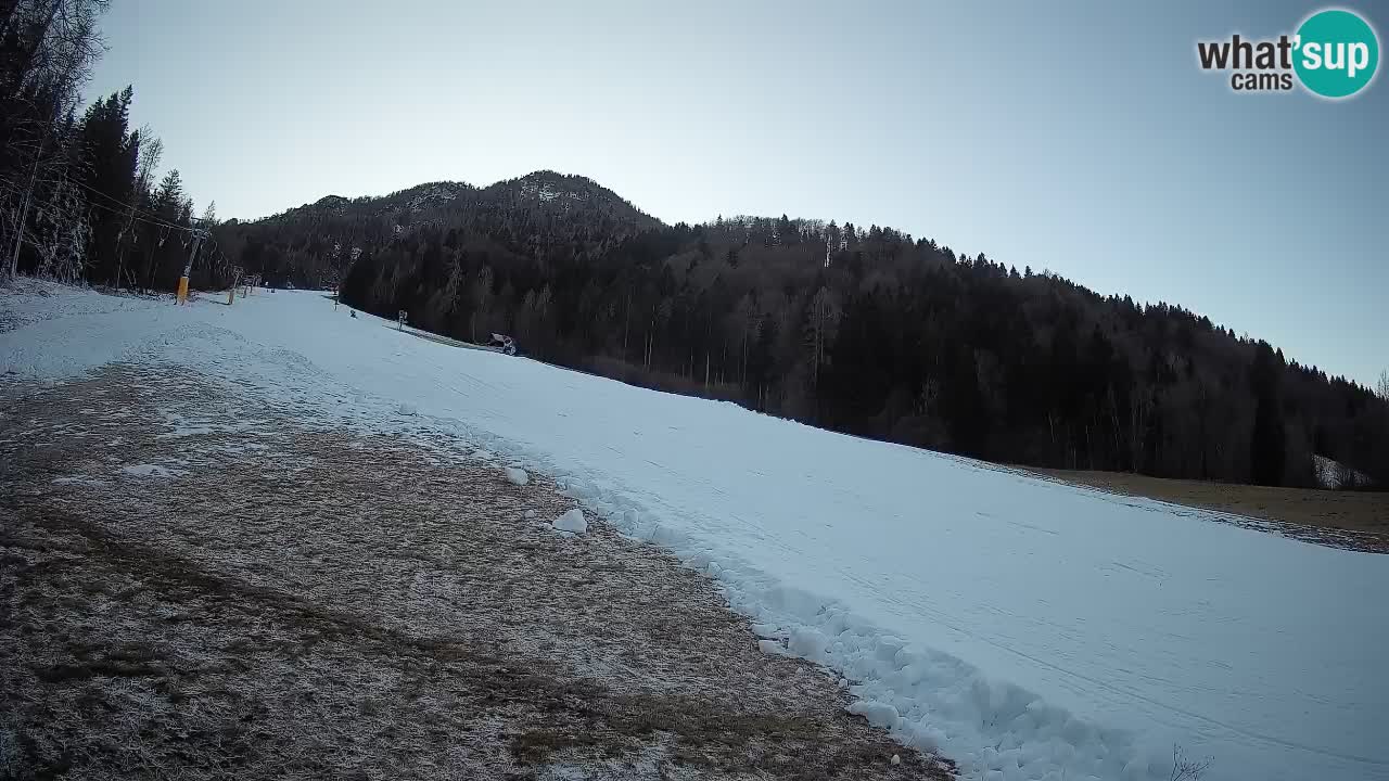 Ski Kranjska Gora | Brsnina