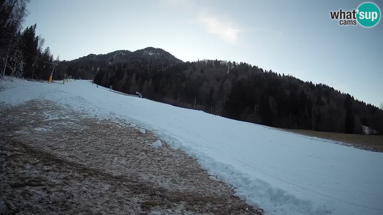 RTC Skigebiet Kranjska Gora | Brsnina