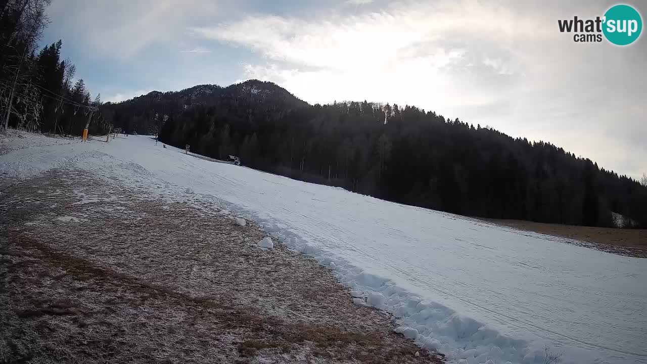 Comprensorio sciistico Kranjska Gora | Brsnina