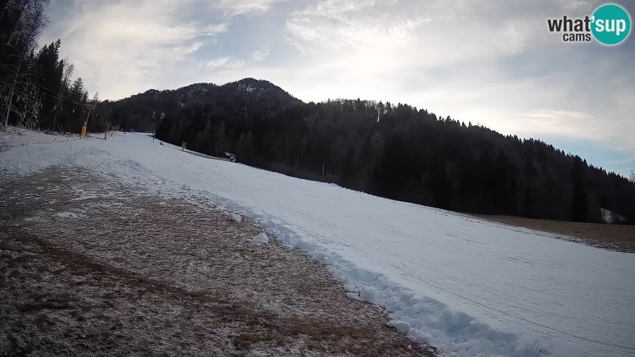 RTC Kranjska Gora | Brsnina