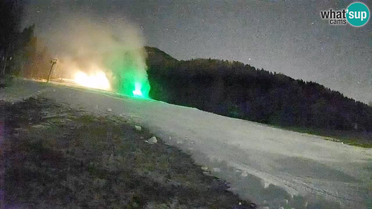 Ski Kranjska Gora | Brsnina