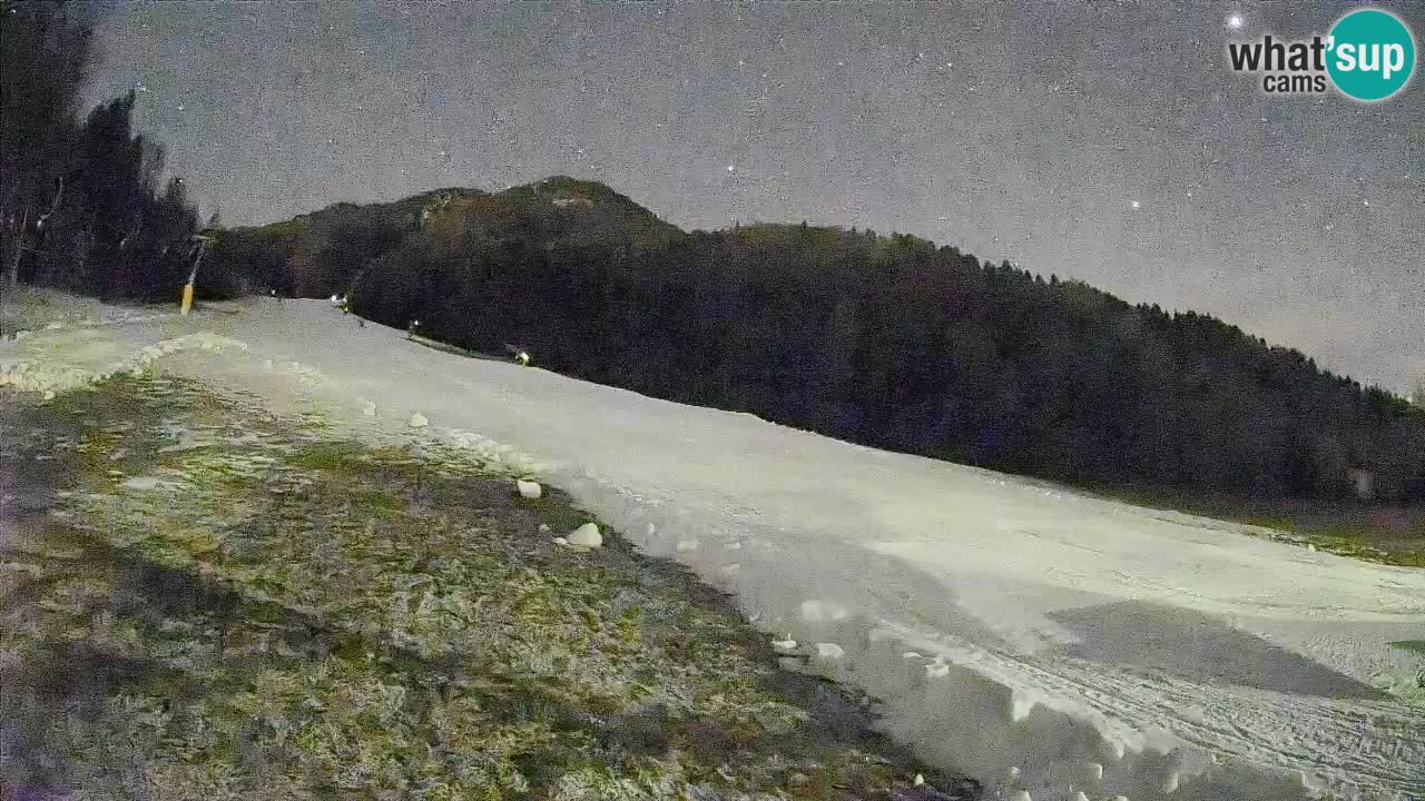 RTC Skigebiet Kranjska Gora | Brsnina