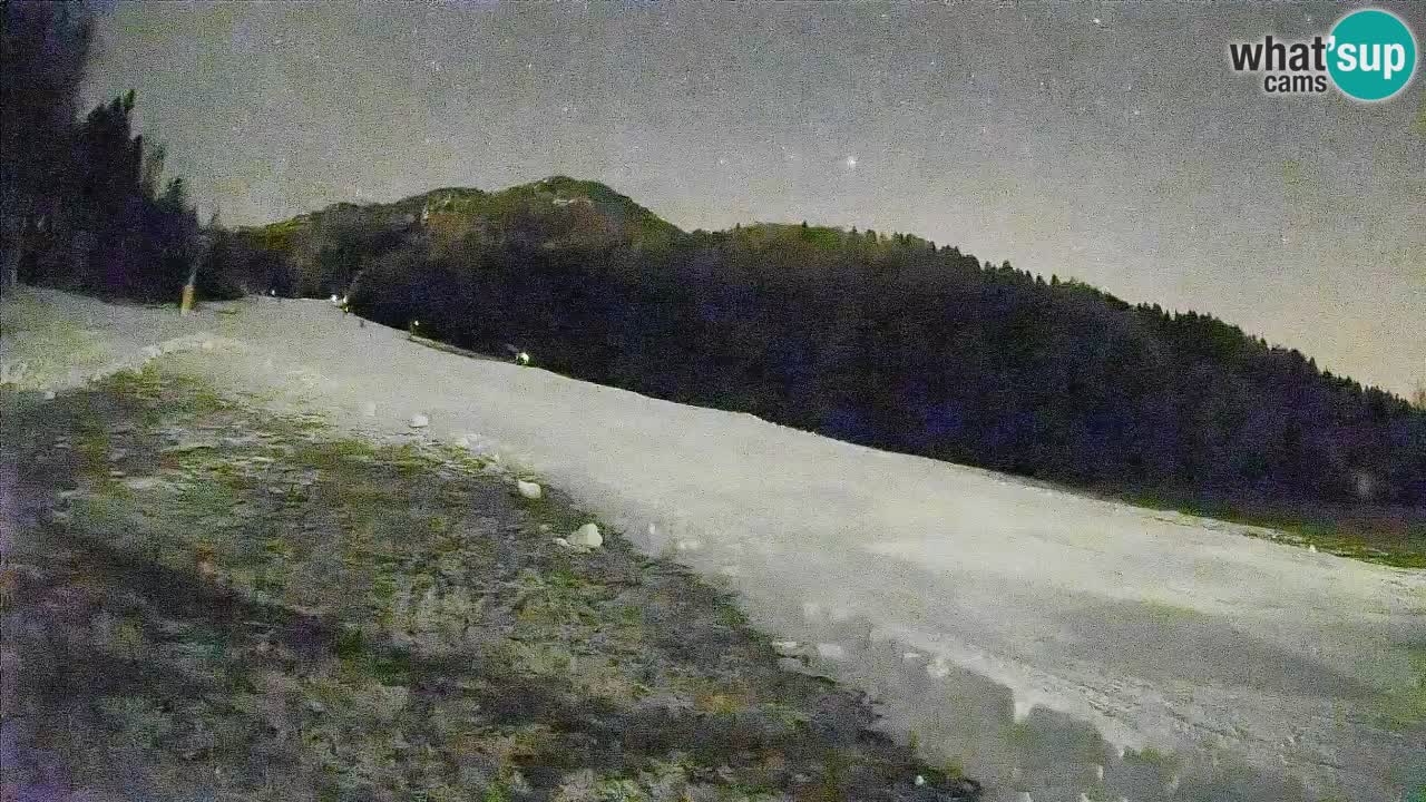 Esquí Kranjska Gora | Brsnina