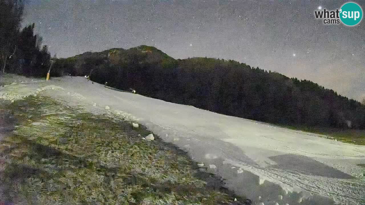 Ski Kranjska Gora | Brsnina