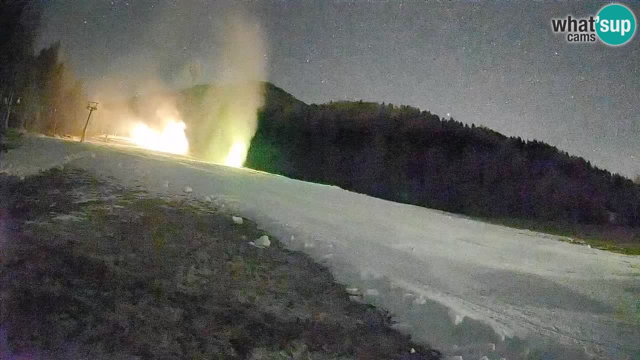 Ski Kranjska Gora | Brsnina