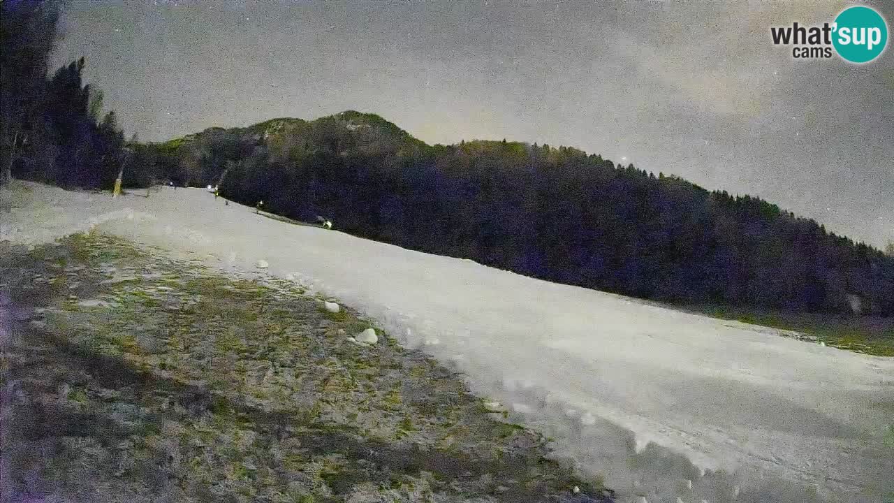 RTC Kranjska Gora | Brsnina