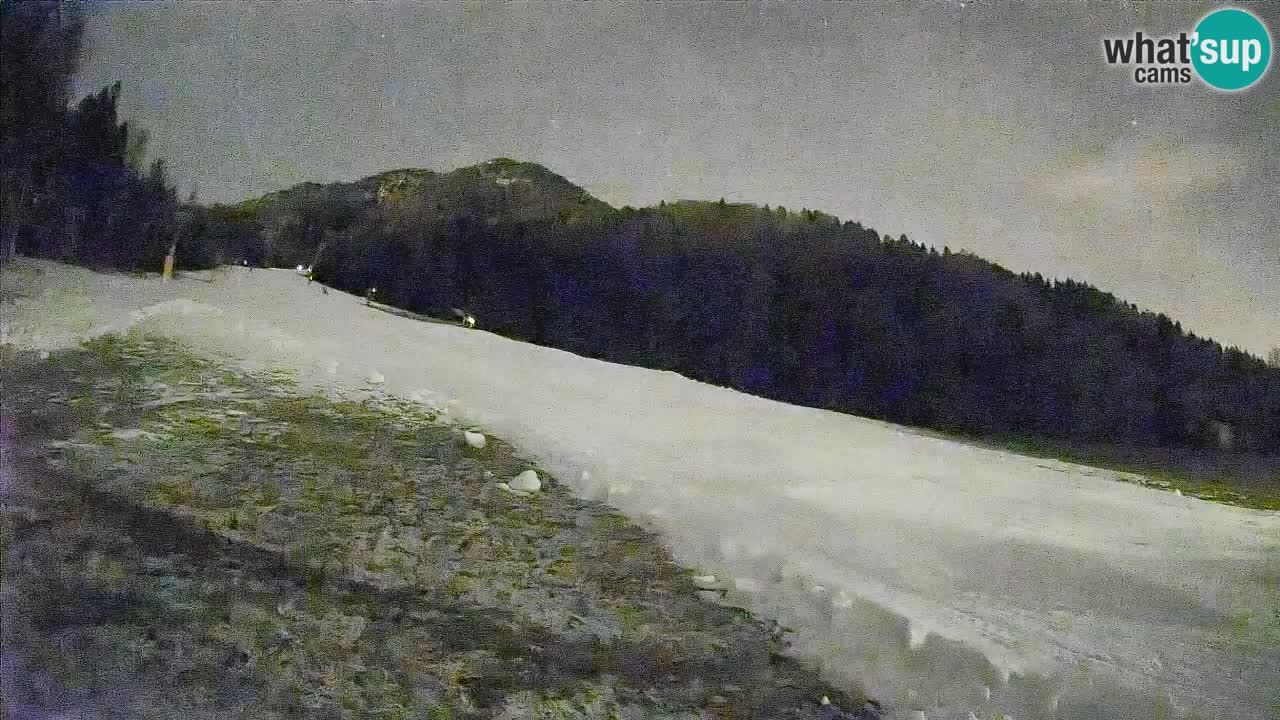 Comprensorio sciistico Kranjska Gora | Brsnina