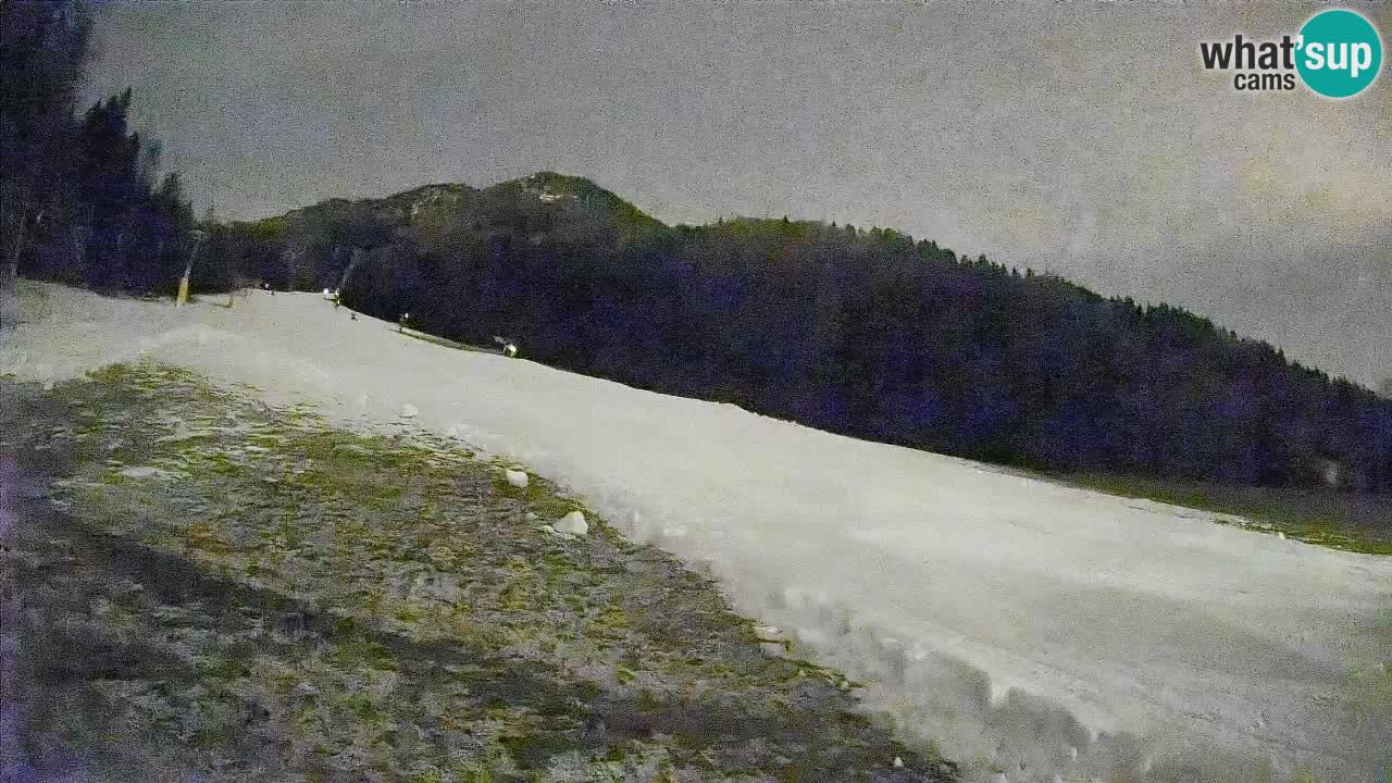 Esquí Kranjska Gora | Brsnina