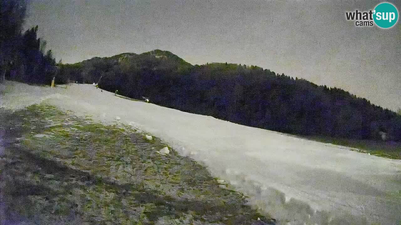 RTC Kranjska Gora | Brsnina