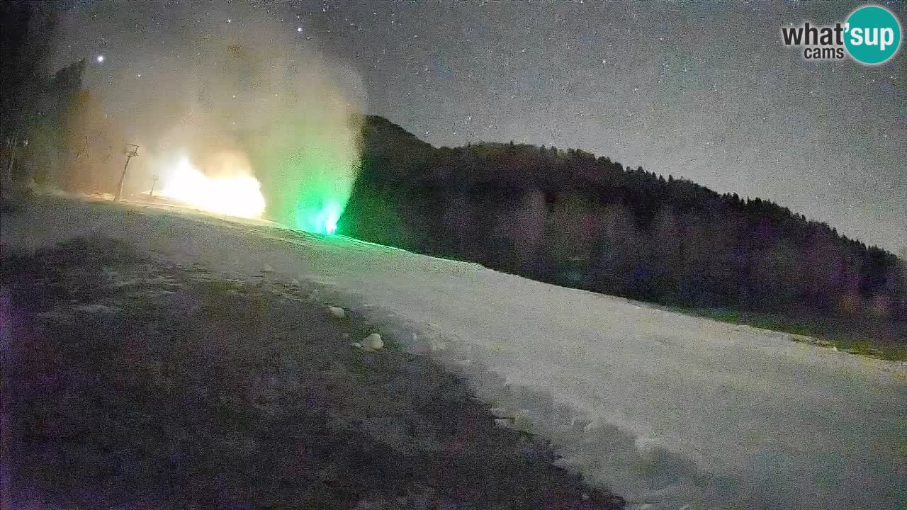 Kranjska Gora Station de ski | Brsnina