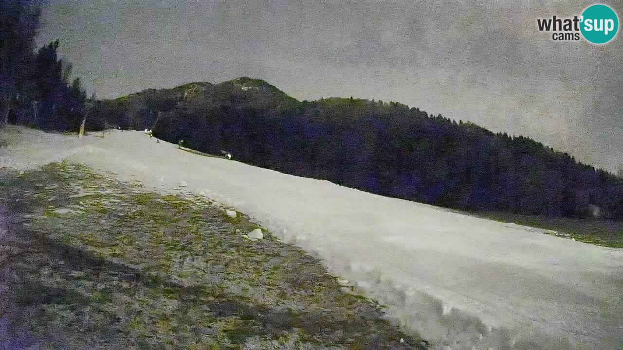 Esquí Kranjska Gora | Brsnina