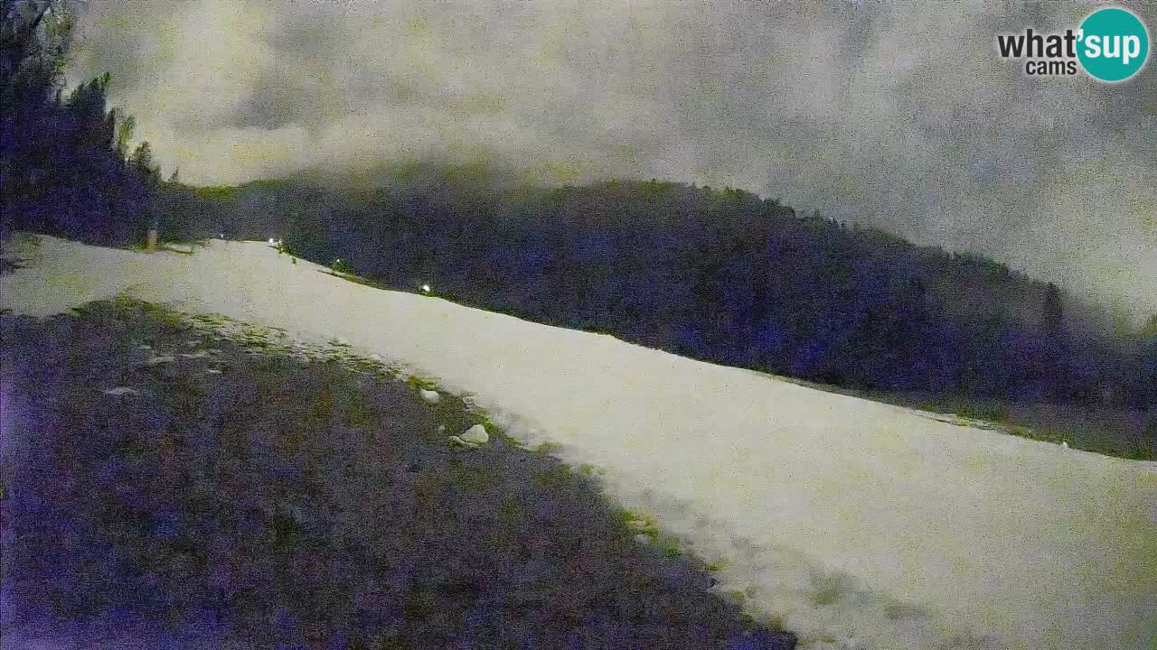 Ski Kranjska Gora | Brsnina