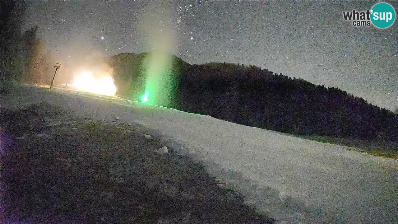 RTC Skigebiet Kranjska Gora | Brsnina