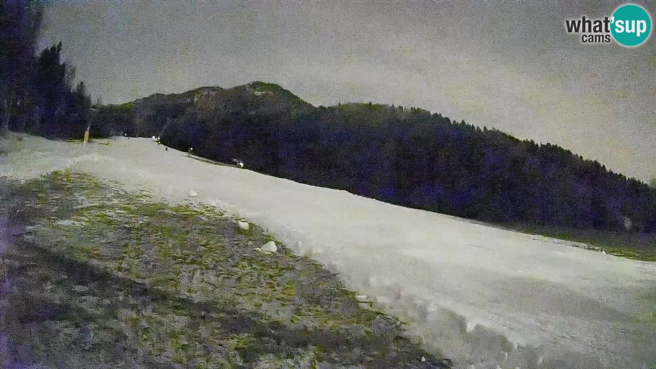 Ski Kranjska Gora | Brsnina