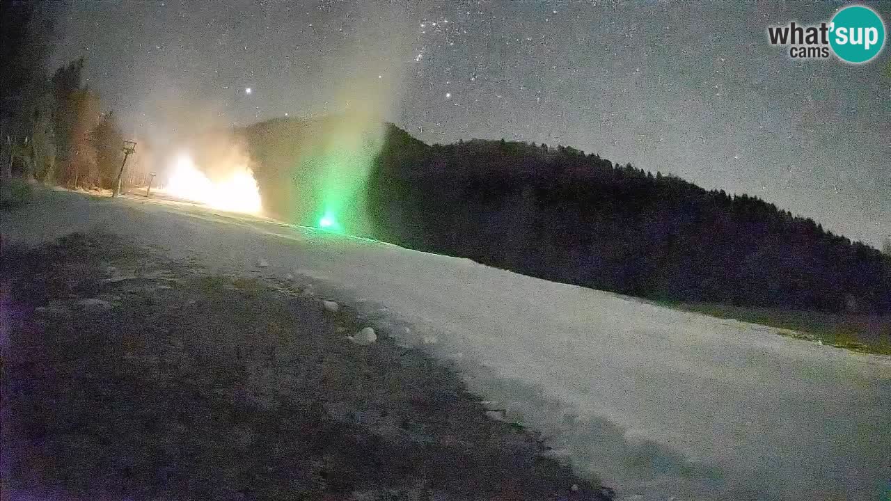 Ski Kranjska Gora | Brsnina