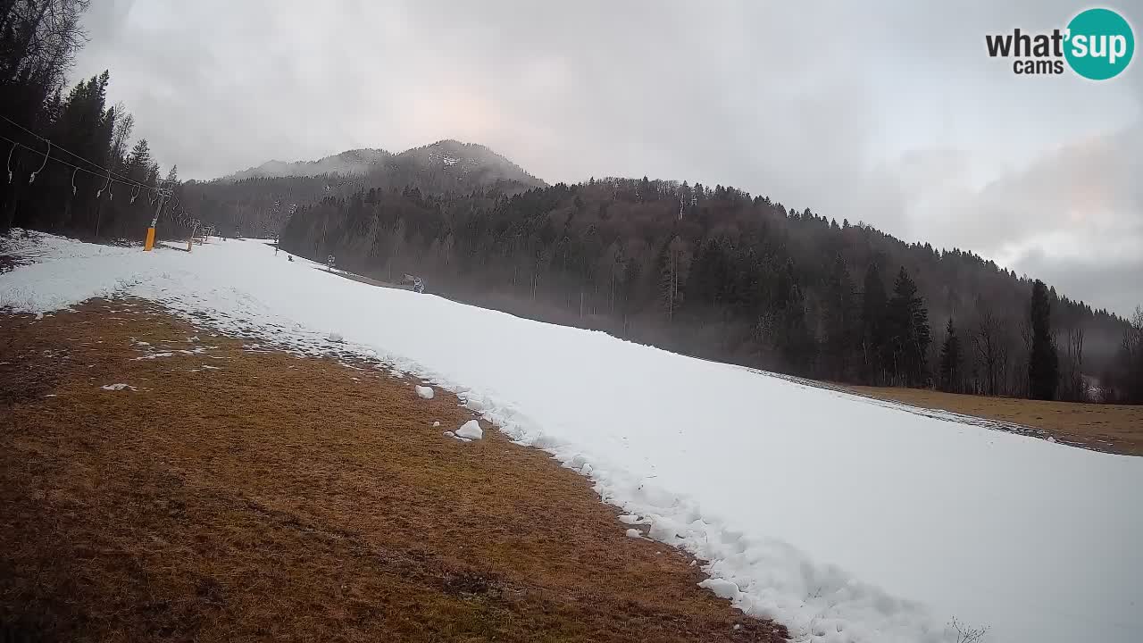 Esquí Kranjska Gora | Brsnina