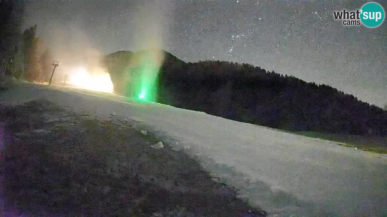 Ski Kranjska Gora | Brsnina