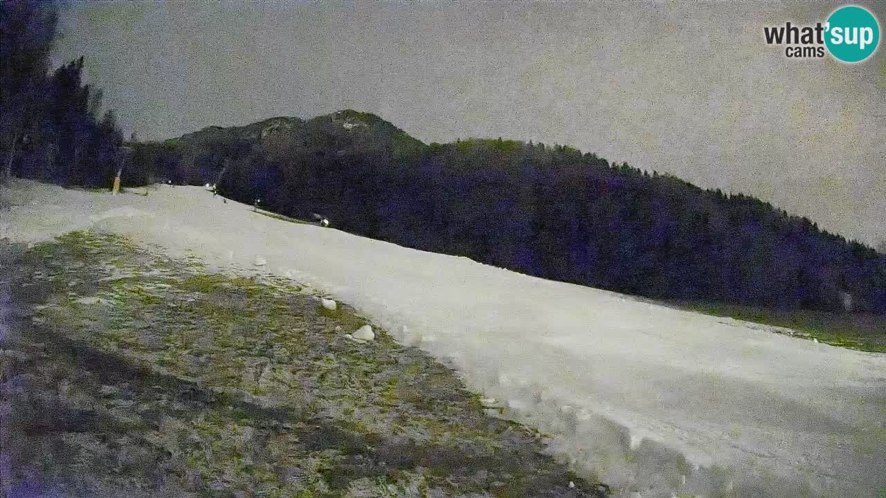 RTC Skigebiet Kranjska Gora | Brsnina