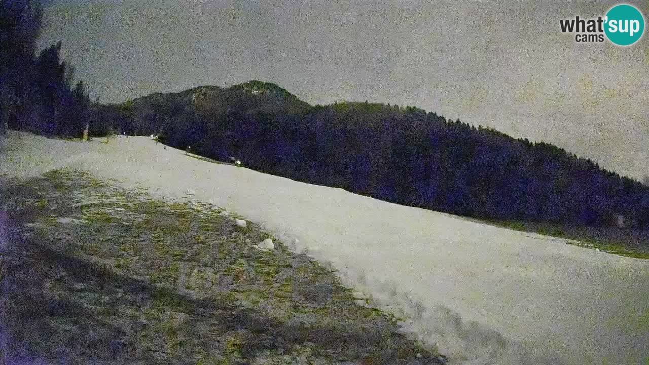 Comprensorio sciistico Kranjska Gora | Brsnina