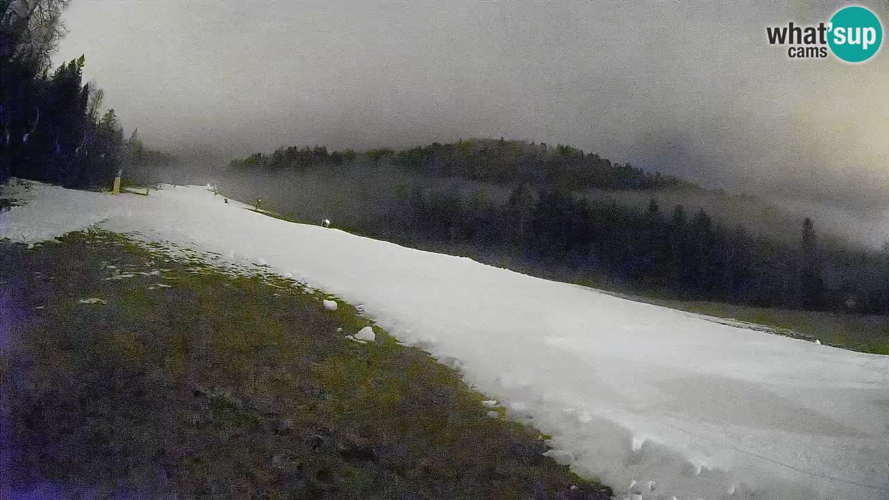 Comprensorio sciistico Kranjska Gora | Brsnina