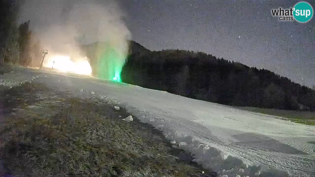 Ski Kranjska Gora | Brsnina