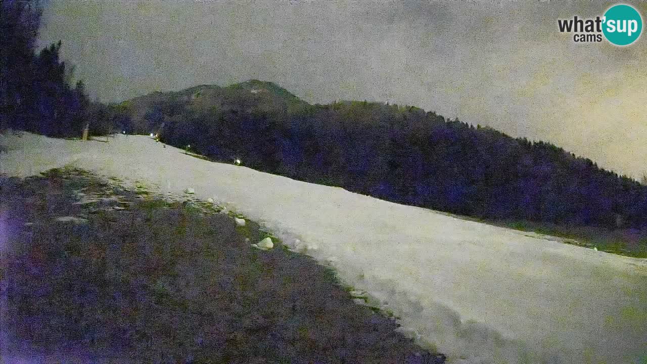 Kranjska Gora Station de ski | Brsnina