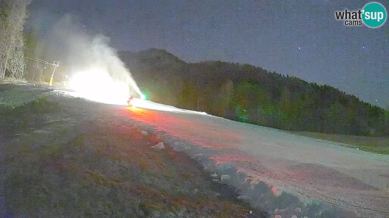 RTC Kranjska Gora | Brsnina