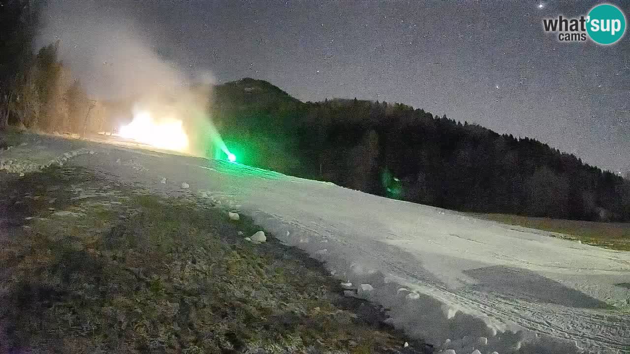 Ski Kranjska Gora | Brsnina