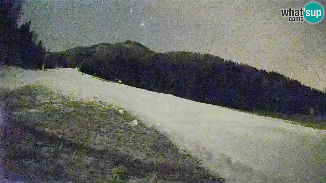 Comprensorio sciistico Kranjska Gora | Brsnina