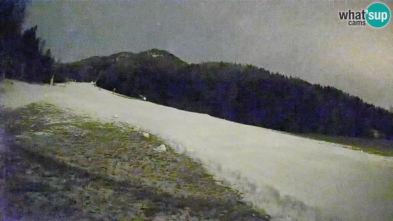 RTC Skigebiet Kranjska Gora | Brsnina