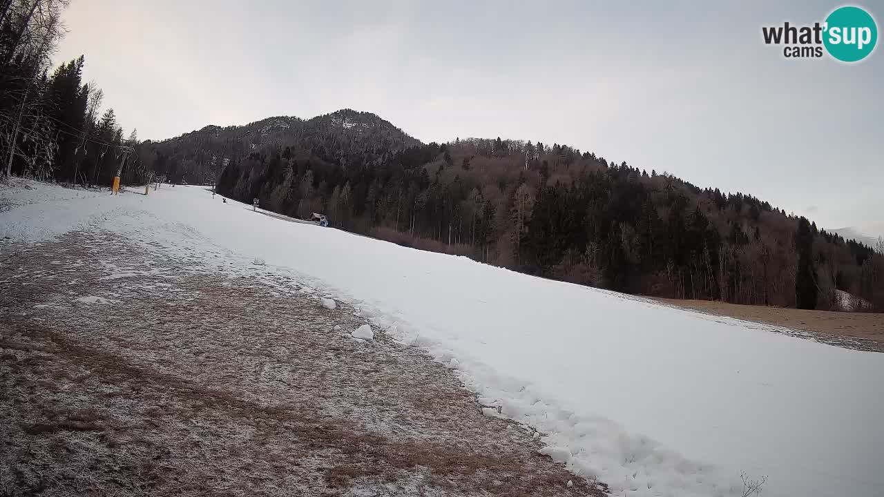Kranjska Gora Station de ski | Brsnina