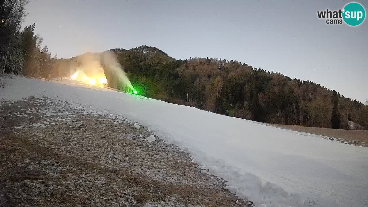 Esquí Kranjska Gora | Brsnina