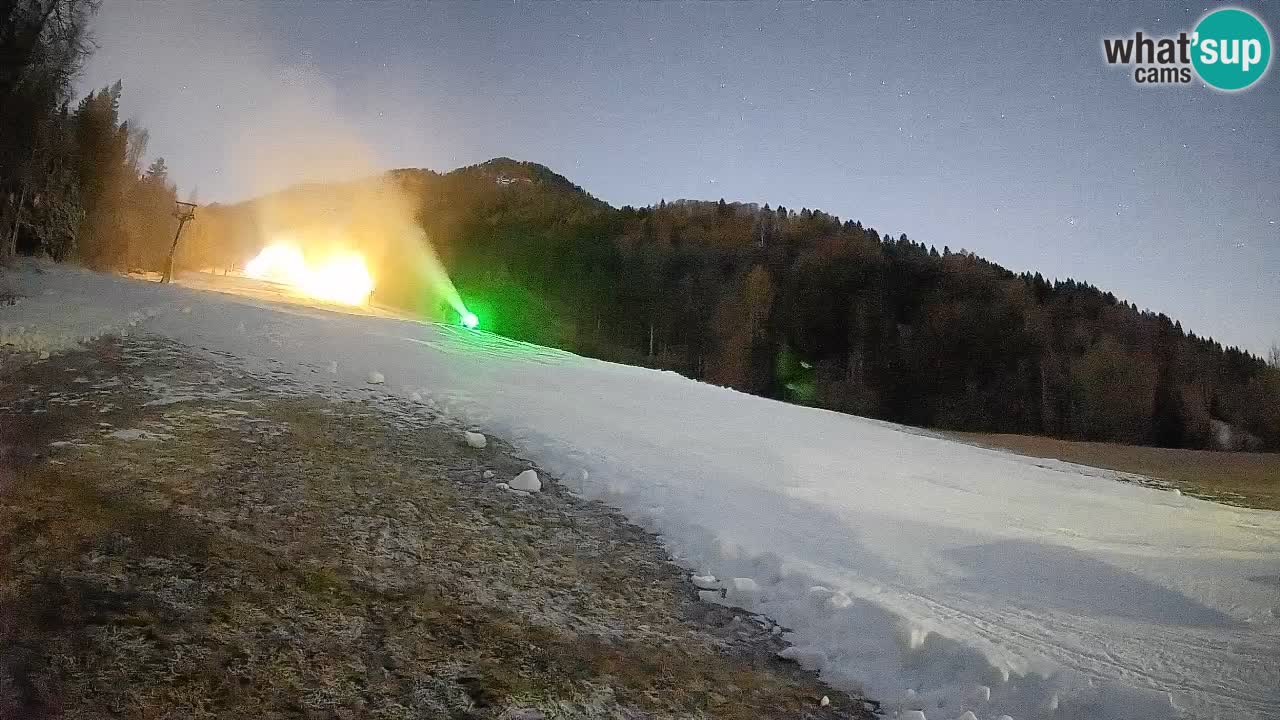 Kranjska Gora Station de ski | Brsnina