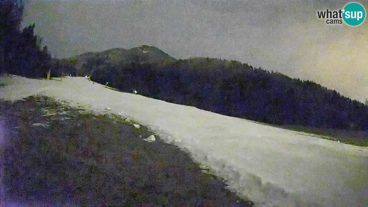 Comprensorio sciistico Kranjska Gora | Brsnina