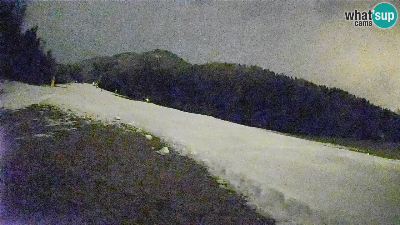 Kranjska Gora Station de ski | Brsnina