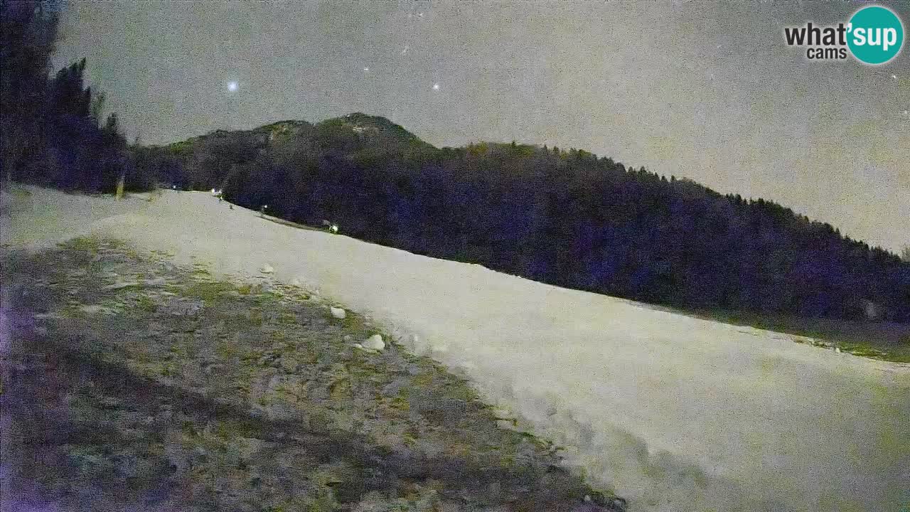 Kranjska Gora Station de ski | Brsnina