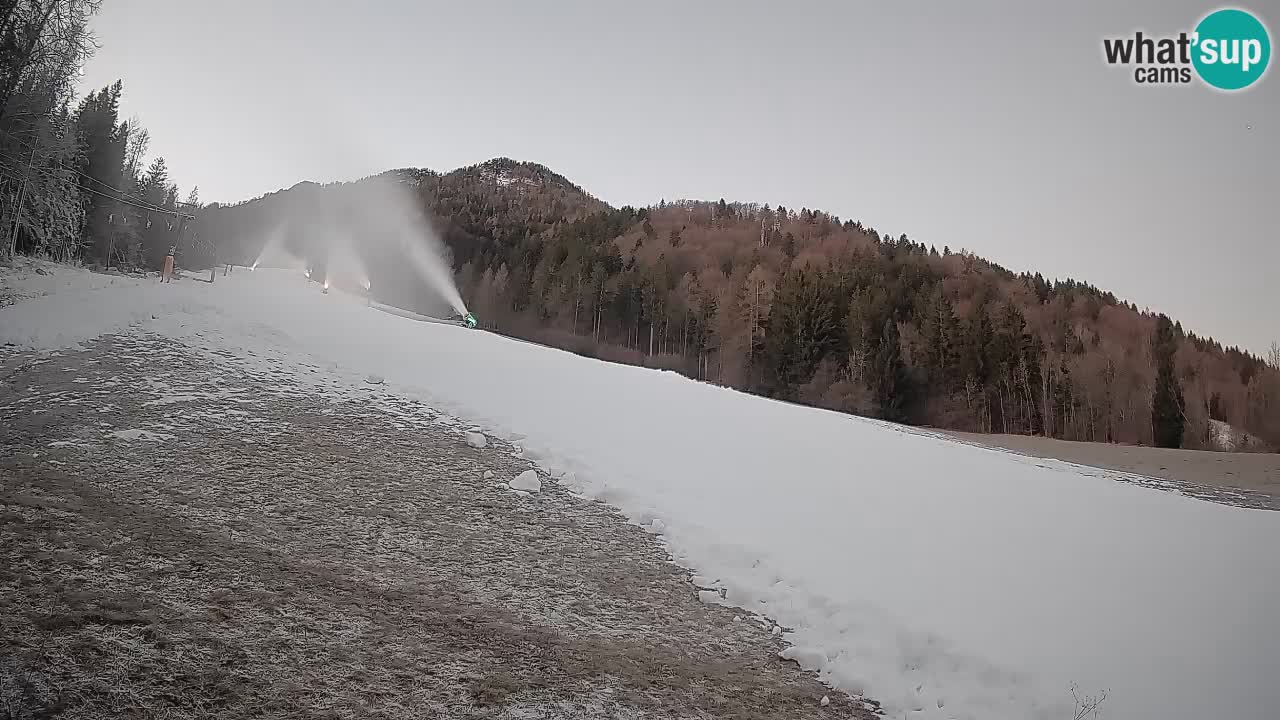 Comprensorio sciistico Kranjska Gora | Brsnina