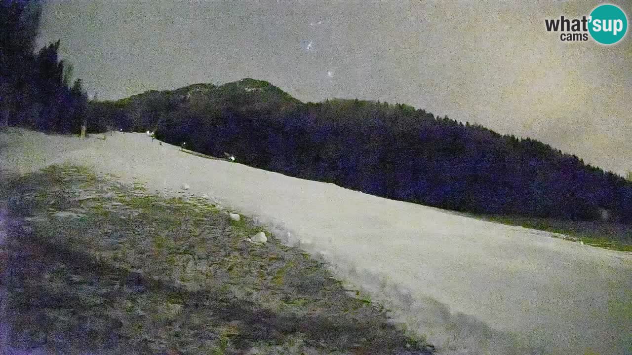 Ski Kranjska Gora | Brsnina