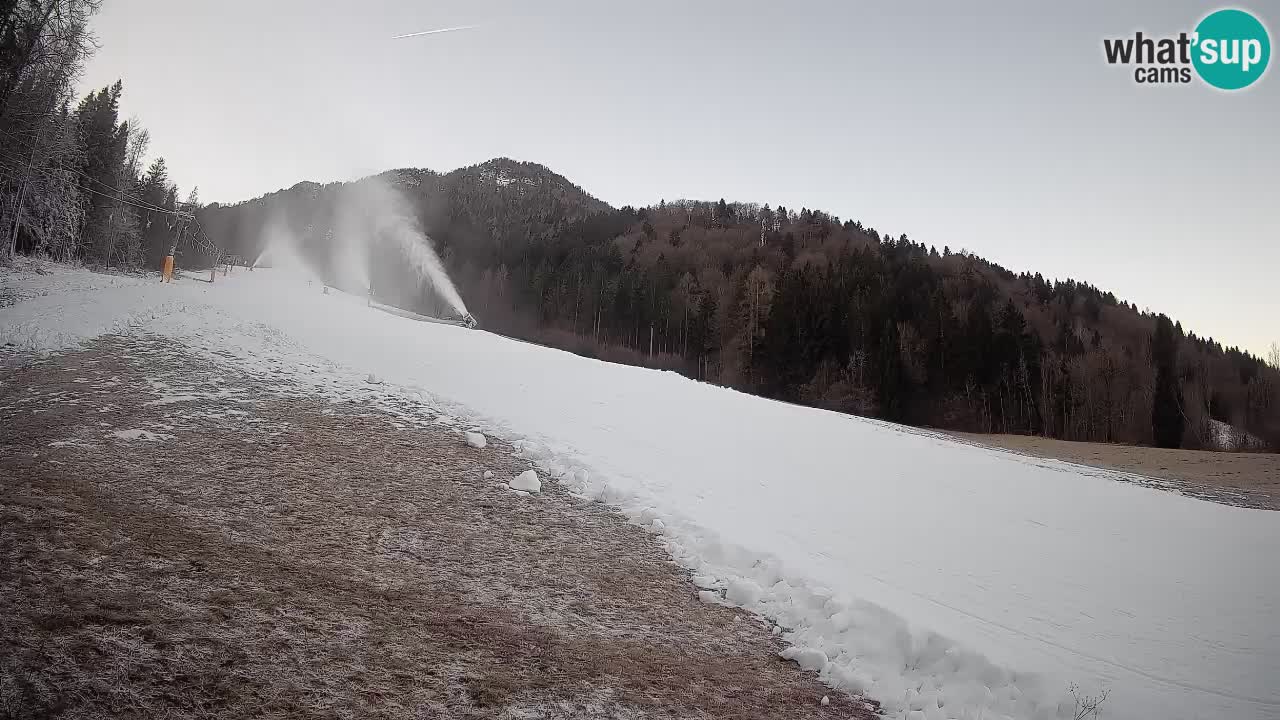 RTC Kranjska Gora | Brsnina