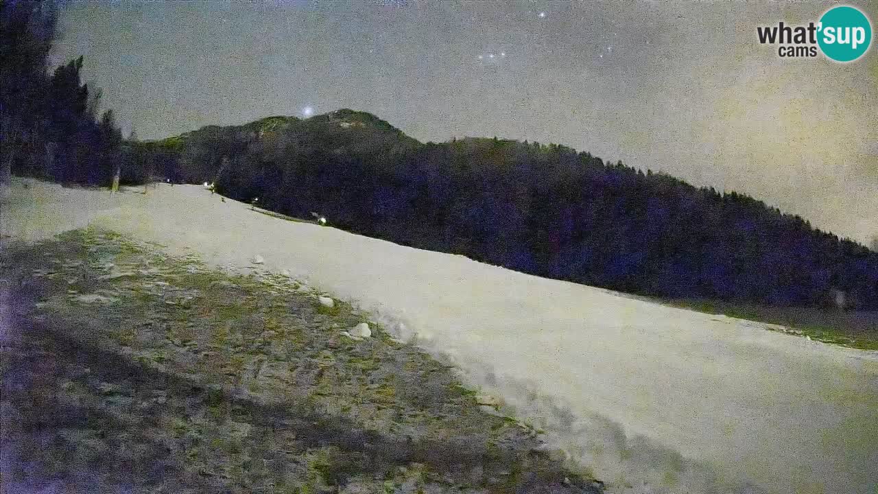 Kranjska Gora SKIJANJE | Brsnina