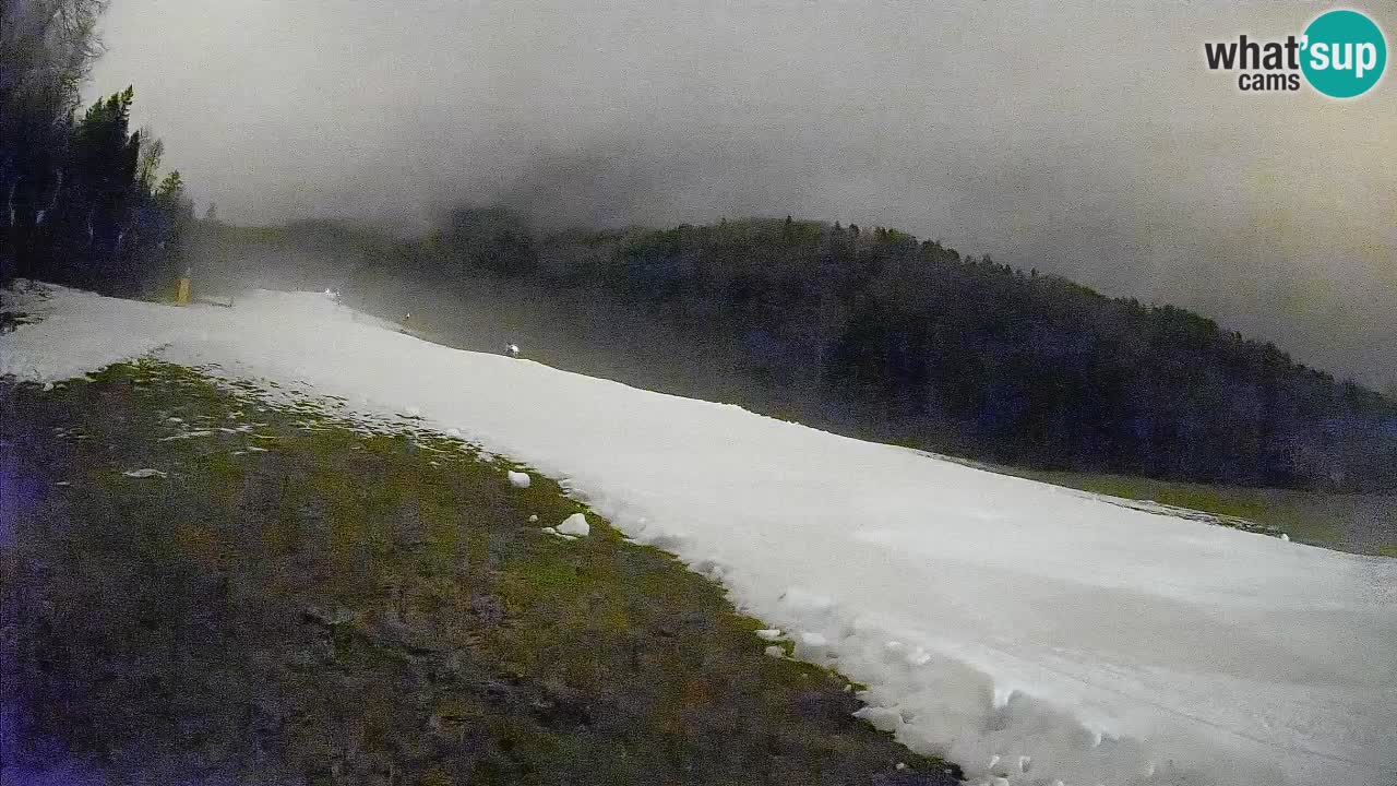 Ski Kranjska Gora | Brsnina