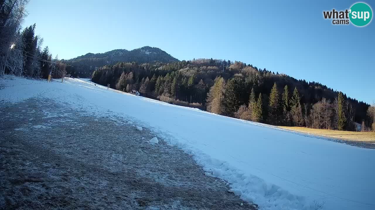 RTC Kranjska Gora | Brsnina