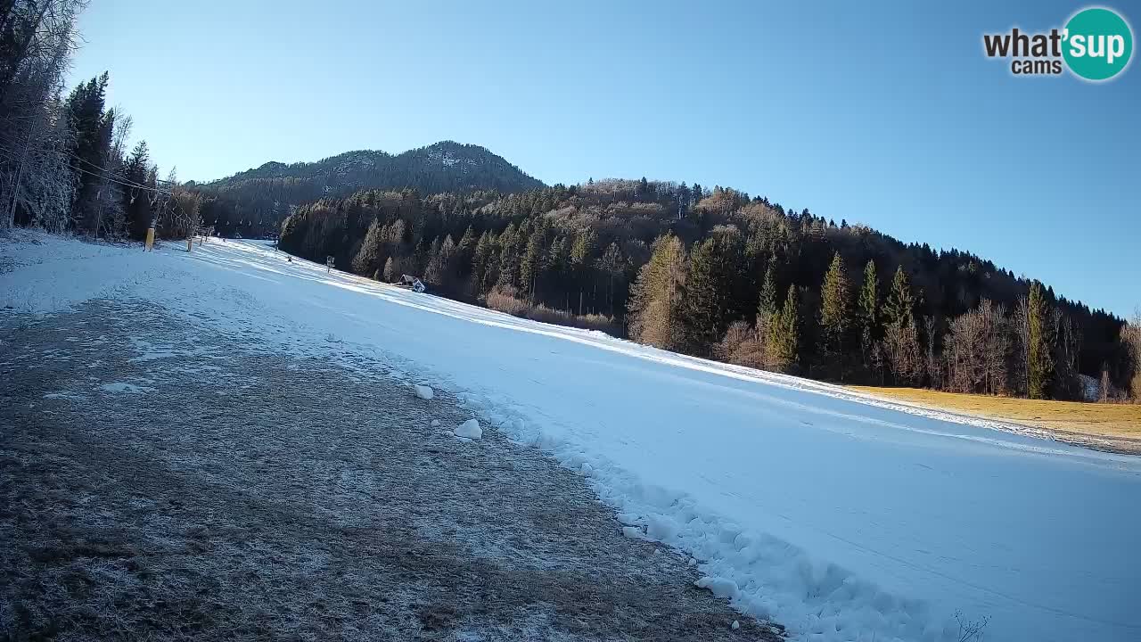 RTC Kranjska Gora | Brsnina