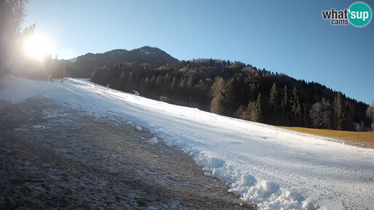 Esquí Kranjska Gora | Brsnina