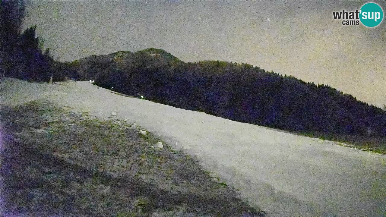 Kranjska Gora SKIJANJE | Brsnina