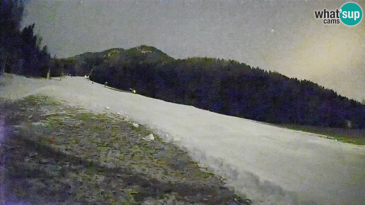 RTC Skigebiet Kranjska Gora | Brsnina