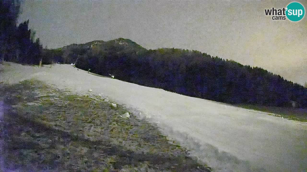 RTC Kranjska Gora | Brsnina