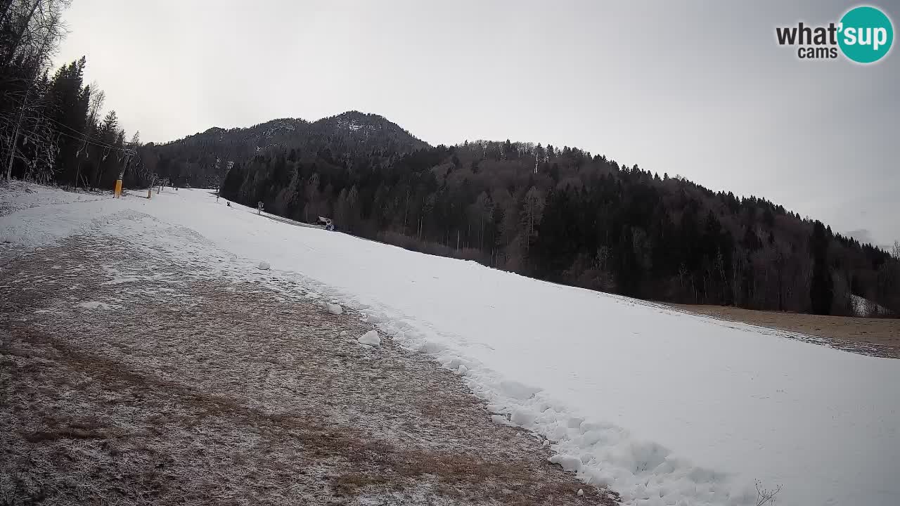 RTC Kranjska Gora | Brsnina